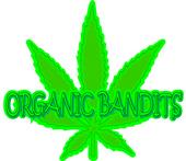 bands